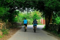 Cycle Tour - Exploring Countryside