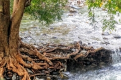 Aravalli Mountain streaming