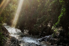 Natural View near Udaipur