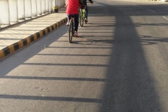 Cycle Tour by the Lake