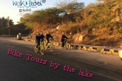 Bike Tour by the scenic lake