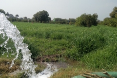 Farm Tour - Irrigating fields