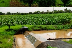 Farm Tours at Piplia Heritage Fort Stay