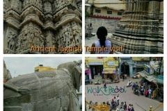 Heritage Walk Tour - Jagdish Temple Visit