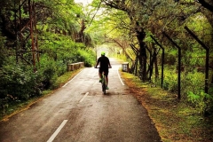 Pedal Bicycle Tours at city outskirts